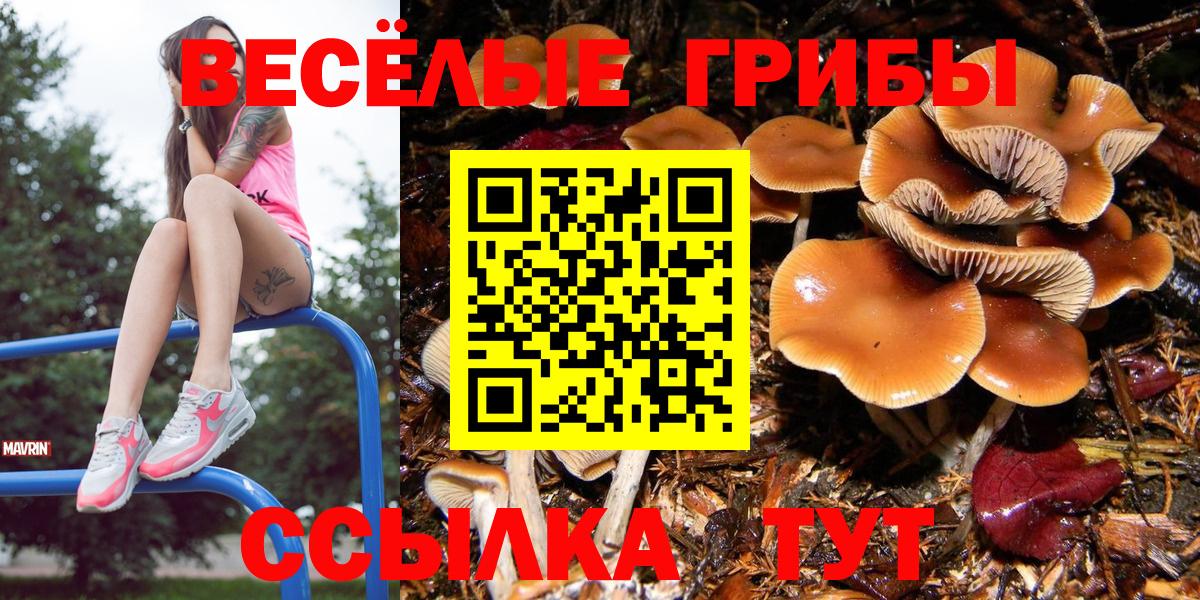 как найти закладки  Вход с VPN  Ачхой-Мартан  Галлюциногенные грибы MAGIC MUSHROOMS 
